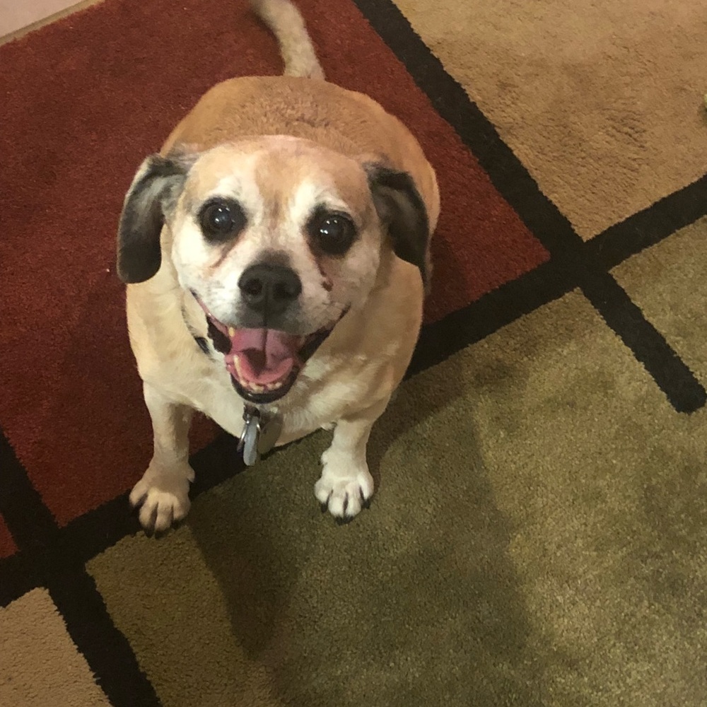 Meet your Posher, Susana